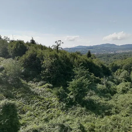 Fratas Belvedere 호텔