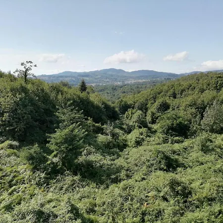 Fratas Belvedere Brognaturo