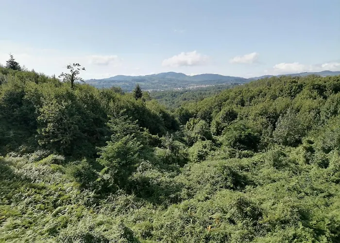 Fratas Belvedere Brognaturo